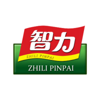 智力 ZHILI
