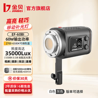 金贝 EF-60BI双色温60W摄影补光灯视频摄像手持外拍打光聚光灯摄影棚人像美食拍照柔光灯直播补光发丝灯 EF-60BI便携摄影灯标配 白色