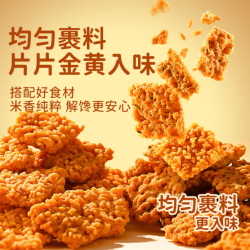 薛记炒货 海苔肉松味糯米锅巴120g/袋