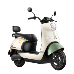 新日 电动摩托车丽曼续航100km 1200W电机前后液压减震30L超大座桶家用代步车 -烟灰绿