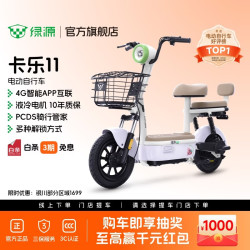 绿源 第2代电动车 FBY 上海昆山地区专享 到门店选颜色