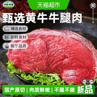 祁连天宝 黄牛牛腿肉原切黄牛肉生鲜牛后腿肉2斤