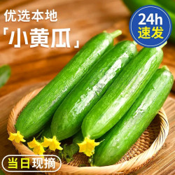 京鲜生 清爽嘎嘣脆！当日现摘水果黄瓜4斤当水果吃