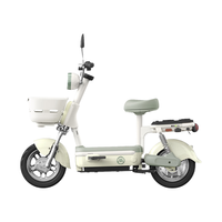 爱玛 小金豆 60V20Ah铅酸电池 绿色 电动摩托车