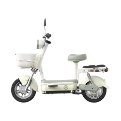 爱玛 小金豆 60V20Ah 铅酸电池 电动摩托车
