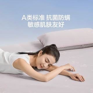 LOVO乐蜗家纺 A类抗菌可机洗 150*200cm 冰丝席三件套