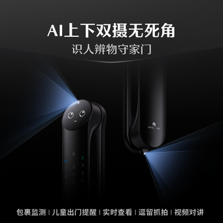 德施曼 R9精灵版(2026) 人脸识别 智能锁