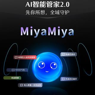 德施曼 R9精灵版(2026) 人脸识别 智能锁