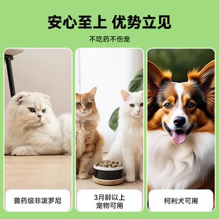 巧小熊 非泼罗尼滴剂 猫狗通用 体外驱虫