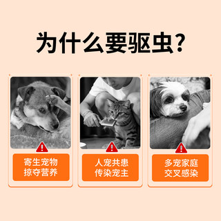 派迪诺 米尔贝肟吡喹酮片 猫咪体内驱虫药