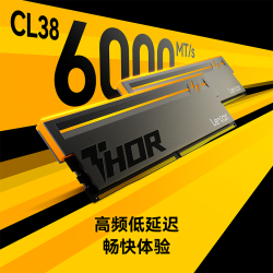 雷克沙 DDR5 台式机内存条 RGB灯效