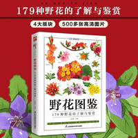 江苏科学技术出版社 野花图鉴 精选179种野花