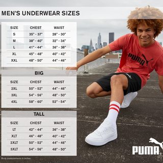 PUMA 彪马 男士 时尚T恤 男士3件装圆领T恤 圆领 短袖 舒适版型 WhiteGrayBlack 尺码Medium