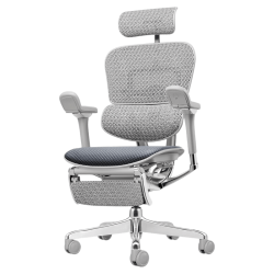 Ergonor 保友金豪L2电竞人体工学椅超强精准承托 久坐家用办公老板座椅 银白网(云感科技坐垫)+躺舒宝 整椅发货 送货上门