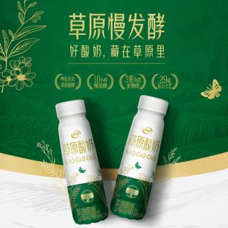今日必买:伊利 230ml×10瓶 原味巴氏杀菌热处理风味酸奶