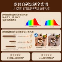 欧普照明 苍风FS 隐形风扇吊灯