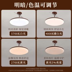 欧普照明 苍风FS 隐形风扇吊灯