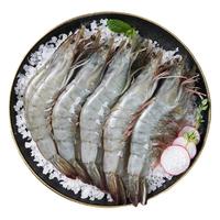 冠鲜 厄瓜多尔白虾 南美白对虾