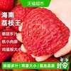 寻天果蔬 海南白糖罂荔枝 3斤装 新鲜水果