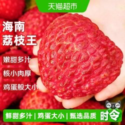 寻天果蔬 海南荔枝王单果45g+ 1.8斤