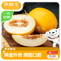 今日必买：京鲜生 山东黄河蜜瓜 净重4.5-5斤 2粒装 单果2斤+  赠番茄/芭乐/金桔/人参果/橙子/蜜瓜