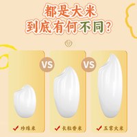 五米常香 有机五常大米 5kg*20袋 东北粳米
