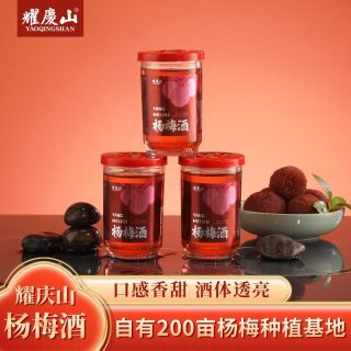 耀庆山 绍兴杨梅酒 500ml 低度果酒