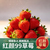 爱果趣 云南99红颜草莓 5斤 单果11-14g