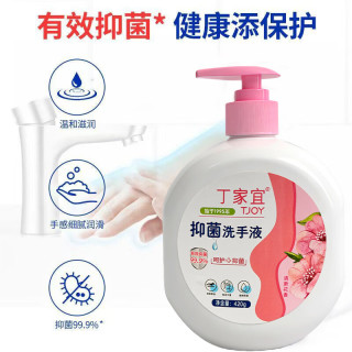 丁家宜 抑菌洗手液 420g*1瓶