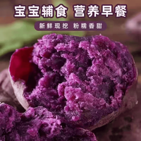 京喜自营-专用品牌 紫薯新鲜板栗红薯番薯山芋烟薯香薯蔬菜农家自种地瓜蜜薯糖心 带箱1斤 中果