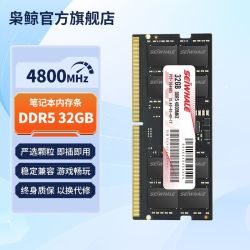 枭鲸 笔记本电脑内存条ddr5 32GB 4800MHz