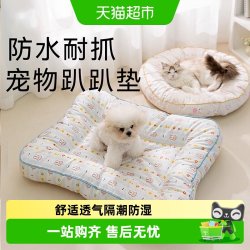 神经猫 四季通用狗狗睡垫狗窝狗床小型犬防撕咬防水猫窝宠物用品