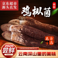 高原云品 云南深山鸡枞菌黑帽 1斤