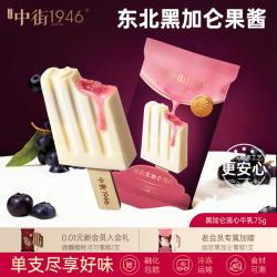 中街1946 Zhongjie 中街1946 熔岩黑加仑冰淇淋雪糕 75g