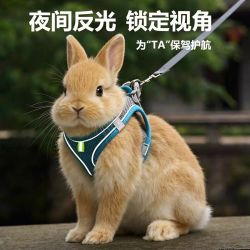 烨棠 兔子牵引绳 天青1.3米扁绳