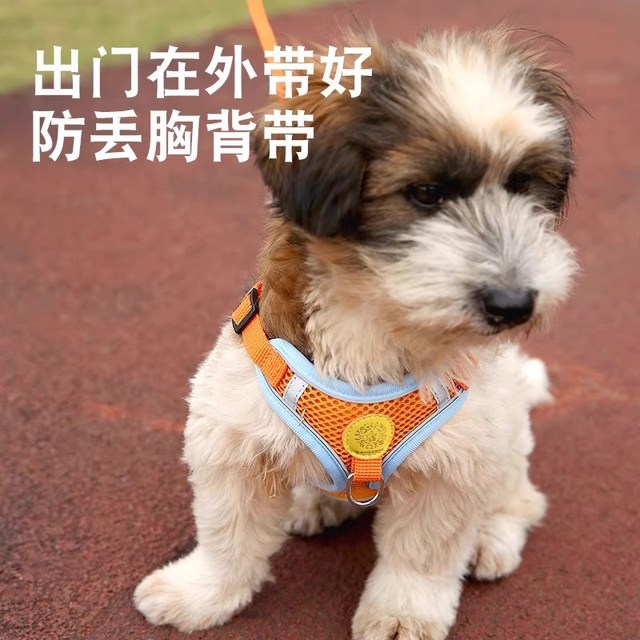 派多奇 背心式狗狗牵引绳小型犬泰迪比熊博美防丢胸背带宠物狗链子遛狗绳