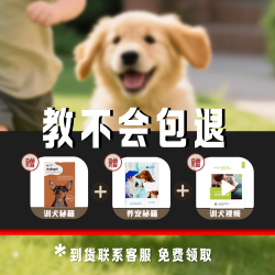 BooDee 狗厕所超大号宠物不绣镀钢狗砂盆防踩屎中大型犬专用定点排便屎盆