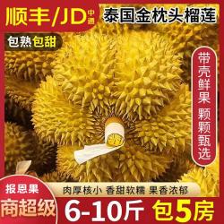 颜曼箐 YANMANQING 颜曼箐 泰国金枕榴莲 A级 7-8斤