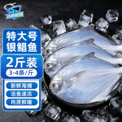 冰鲜部族 银鲳鱼白鲳鱼特大鲳鱼生鲜 鱼类新鲜冷冻银昌鱼海鱼平鱼海鲜批发 特大号银鲳鱼
