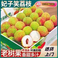鲜其 海南妃子笑荔枝 1斤装净重 单果约16-20g