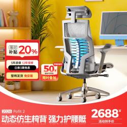 Ergonor Pofit 2代 智能人体工学椅 银白色美国网