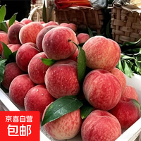 湖北露天水蜜桃 1斤（单果100g+）
