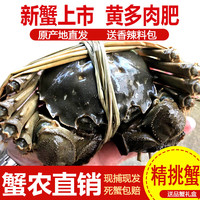 阳澄小斌 阳澄湖大闸蟹 2.5-2.8两 8只礼盒装