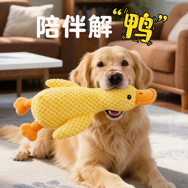 狗狗玩具毛绒陪睡小黄鸭耐咬磨牙发声解闷猫咪宠物玩具冲锋鸭蓝象