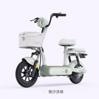 绿源 卡乐01 新国标电动自行车