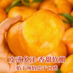 京觅 山东蒙阴黄油蟠桃 大果150g+ 净重4斤