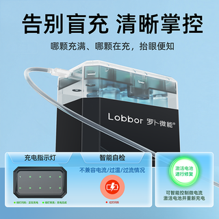 罗卜微能 镍氢充电电池 1.2V 单独充电器
