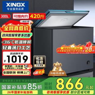 星星 300L单温家用冰柜