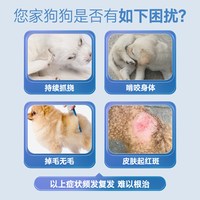 鼎伴 畅敏33营养幼成犬狗狗宠物皮肤清痒舒缓宠物皮肤美毛掉毛冻干