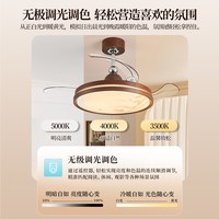 雷士 照明 隐形扇叶吊灯